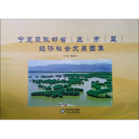 醉染图书宁夏暨毗邻省(区)市(盟)经济社会发展图集9787227052906