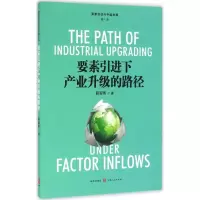 醉染图书要素下产业升级的路径9787543226302
