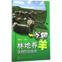 醉染图书林地养羊疾病防治技术9787122271167
