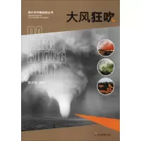醉染图书大风狂吹9787540866761