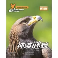 醉染图书神雕谜踪9787514832709