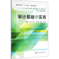 醉染图书审计基础与实务9787122276681