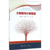 醉染图书大数据与计算智能9787030506160