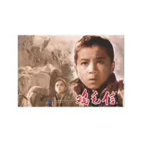 醉染图书鸡毛信9787516208