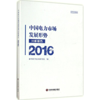 醉染图书中国电力市场发展形势分析报告.20169787504765413