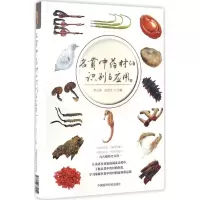 醉染图书名贵材的识别与应用9787506789042