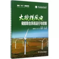 醉染图书大规模风电储能联合系统运行与控制978751013