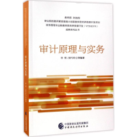 醉染图书审计原理与实务9787509570272