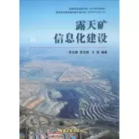 醉染图书露天矿信息化建设9787502055813