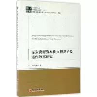 醉染图书煤炭资源资本化支撑理论及运作效率研究9787513644501