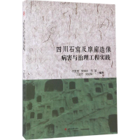 醉染图书四川石窟及摩崖造像病害与治理工程实践9787564353100