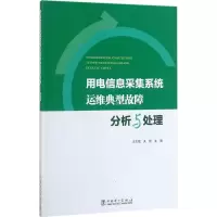 醉染图书用电信息采集系统运维典型故障分析与处理9787519809867