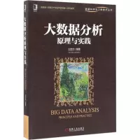 醉染图书大数据分析原理与实践9787111569435