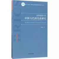 醉染图书经济视角下的中国与巴西关系研究9787519501082