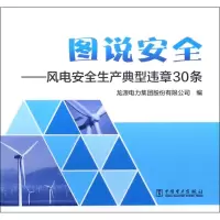 醉染图书风电安全生产典型违章30条9787519806606