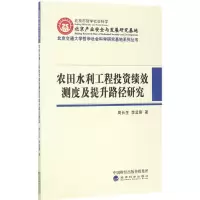 醉染图书农田水利工程绩效测度及提升路径研究9787514176971