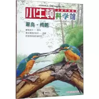 醉染图书翠鸟·鸬鹚9787544849173