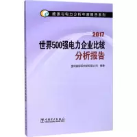醉染图书世界500强电力企业比较分析报告.20179787519813956