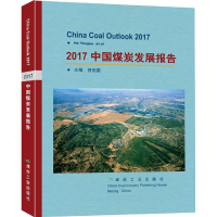 醉染图书2017中国煤炭发展报告9787502057282