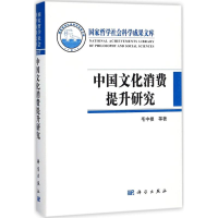 醉染图书中国文化消费提升研究9787030562876