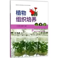 醉染图书植物组织培养9787308180863