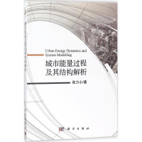 醉染图书城市能量过程及其结构解析9787030570420