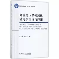 醉染图书高温高压多相流体动力学理论与应用9787568221665