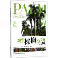 醉染图书观赏棕榈植物与景观9787535293459