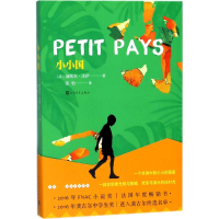 醉染图书小小国9787020133017