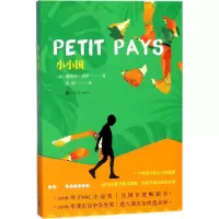 醉染图书小小国9787020133017