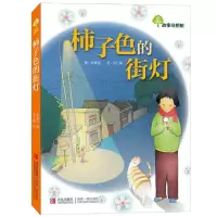 醉染图书柿子色的街灯9787543693111