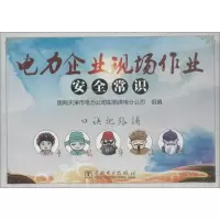 醉染图书电力企业现场作业安全常识9787519817893