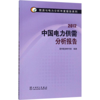 醉染图书中国电力供需分析报告.20179787519810597