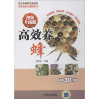 醉染图书高效养蜂9787111595434