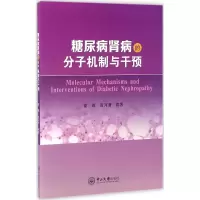 醉染图书糖尿病肾病的分子机制与干预9787306056443