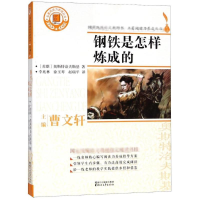 醉染图书钢铁是怎样炼成的9787533953409