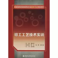 醉染图书钳工工艺技术实训9787560647814