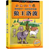 醉染图书狼王洛波9787534265938