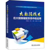 醉染图书大数据技术在大规模储能系统中的应用9787519816094
