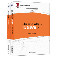 醉染图书发展战略与宏观政策(上下册)9787301299272