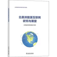 醉染图书北美洲能源互联网研究与展望9787519839383