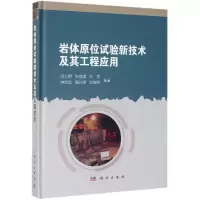 醉染图书岩体原位试验新技术及其工程应用9787030616838