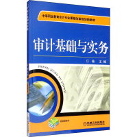 醉染图书审计基础与实务9787111396376
