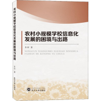 醉染图书农村小规模学习信息化发展的困境与出路9787307119536