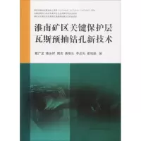 醉染图书淮南矿区关键保护层瓦斯预抽钻孔新技术9787564641498