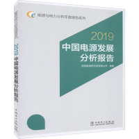 醉染图书2019 中国电源发展分析报告9787519833282