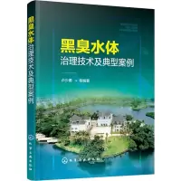 醉染图书黑臭水体治理技术及典型案例9787129775