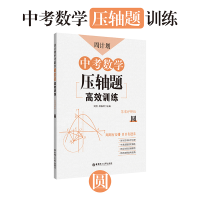 醉染图书圆/周计划:中考数学压轴题高效训练9787562860198