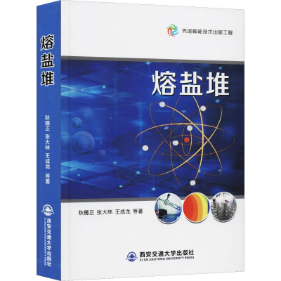 醉染图书熔盐堆9787569310092