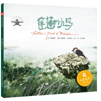 醉染图书莲蓬小鸟/中国原创图画书9787507226829